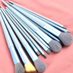 makeup brush kit