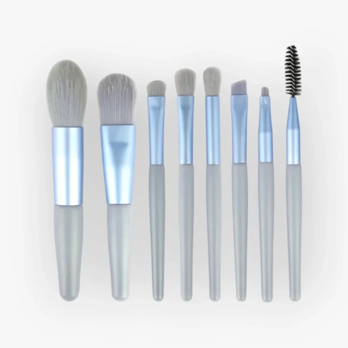 makeup brush kit price